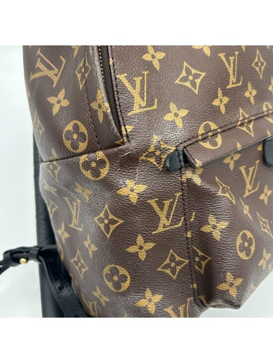 Louis Vuitton Palm Spring Backpack MM Sac main image 3